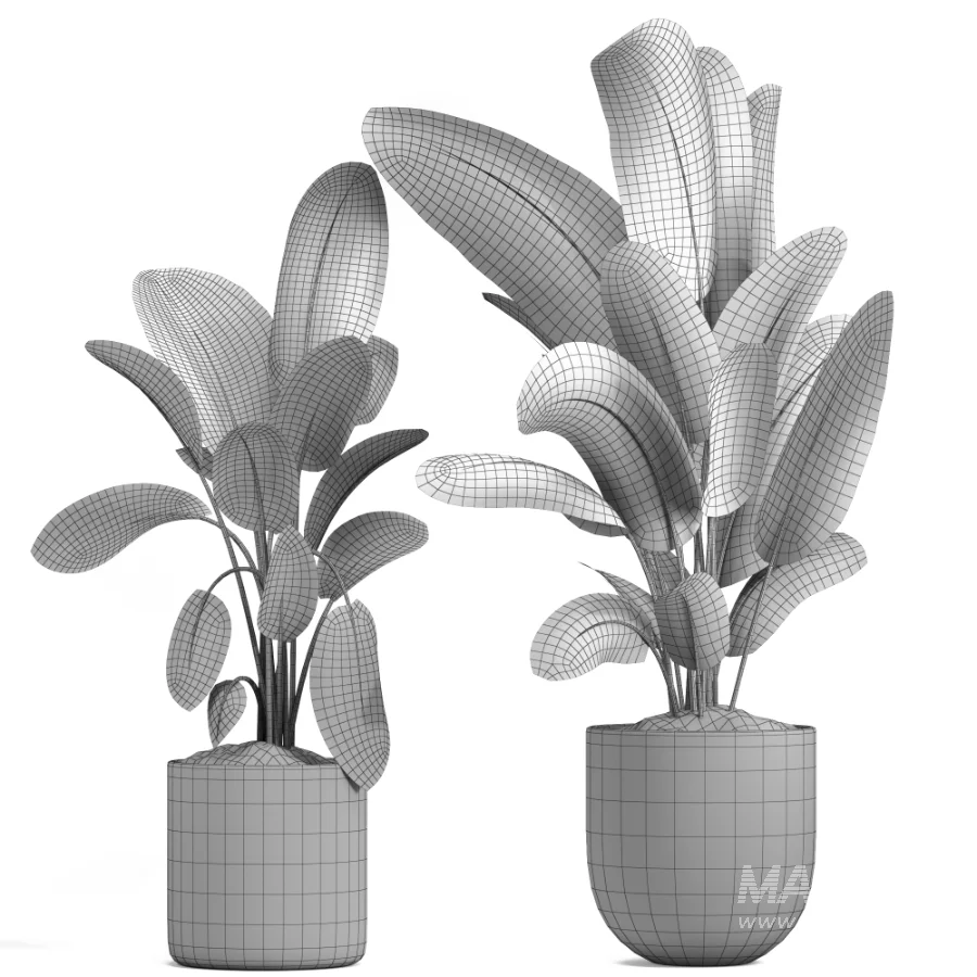 indoor plant 048 - Image 4