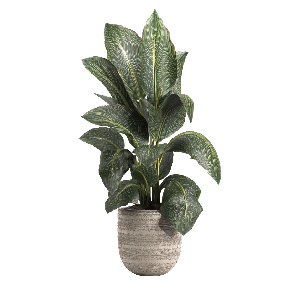 indoor plant 049 - Image 2