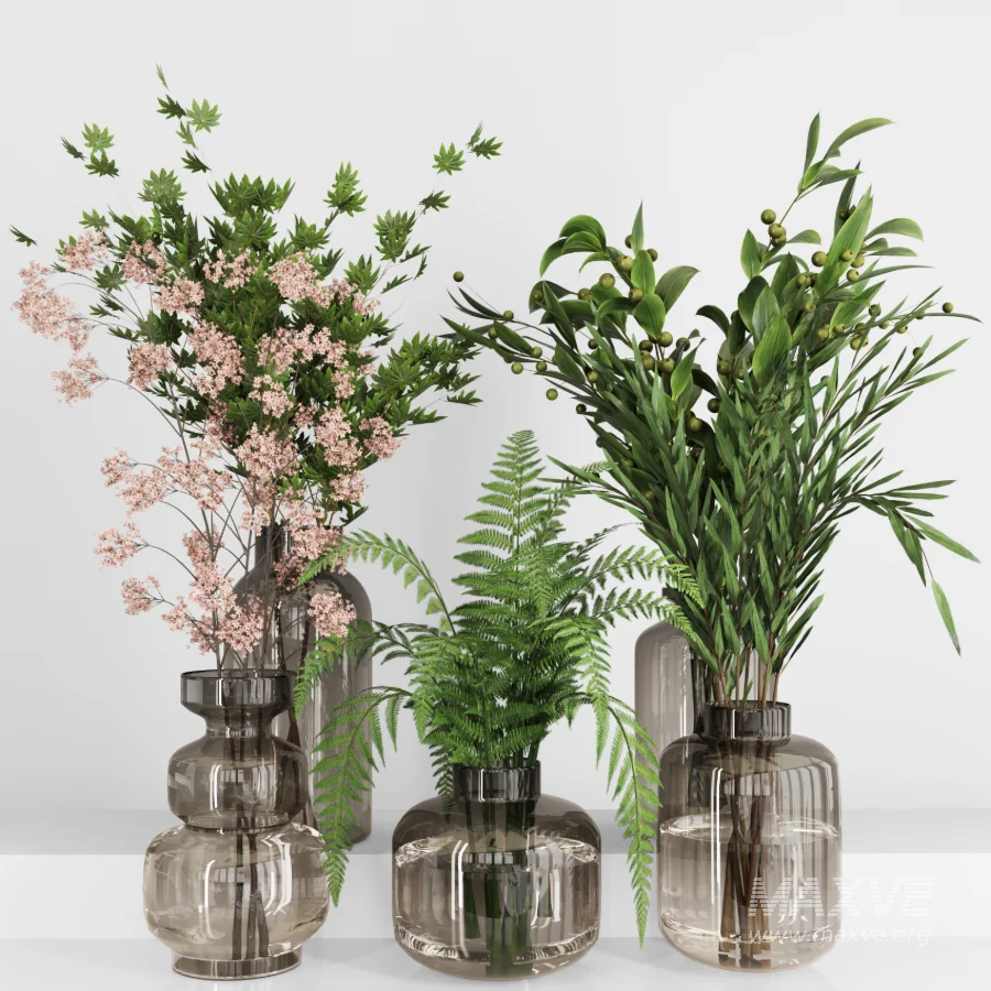 Plant Collection 017 - Image 2