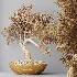 AV Indoor Plants Set 523 Areca Palm Olive Euphorbia Cyara - Thumbnail 9