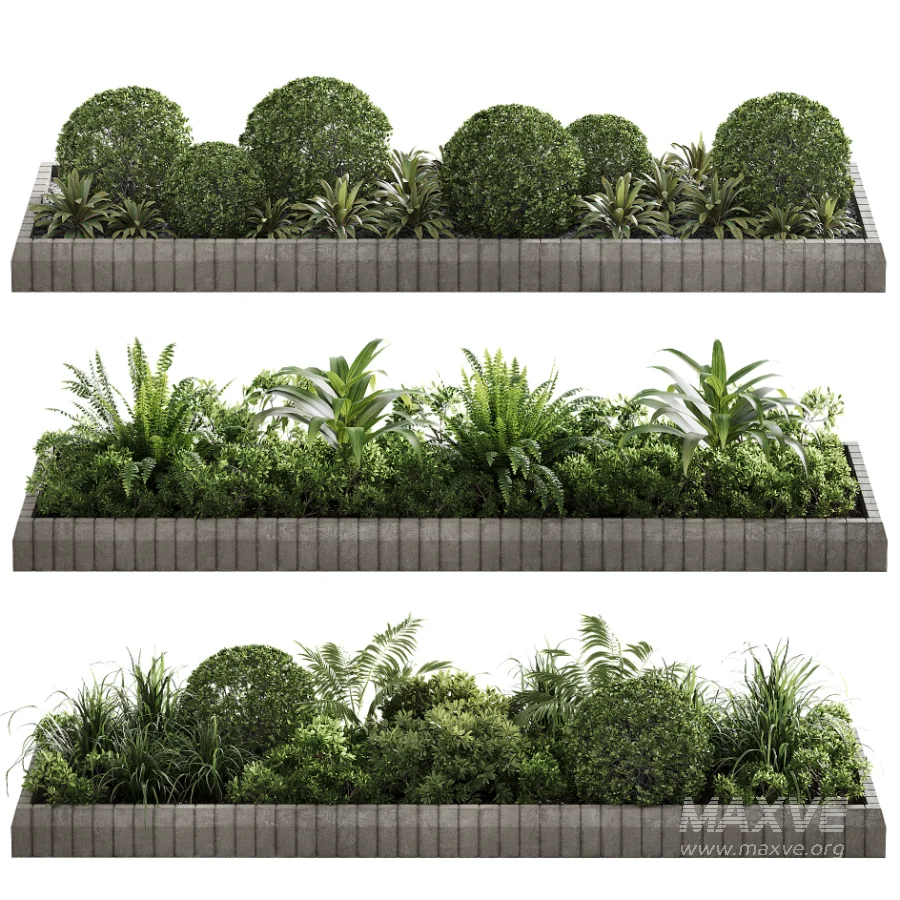 Outdoor Plant 49 - Image 3
