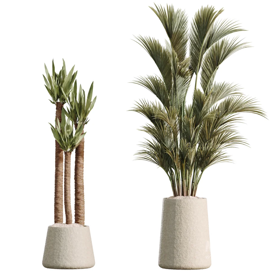 AV Indoor Plants Set 480 Olive Palm ParadiseBird Yucca - Image 6