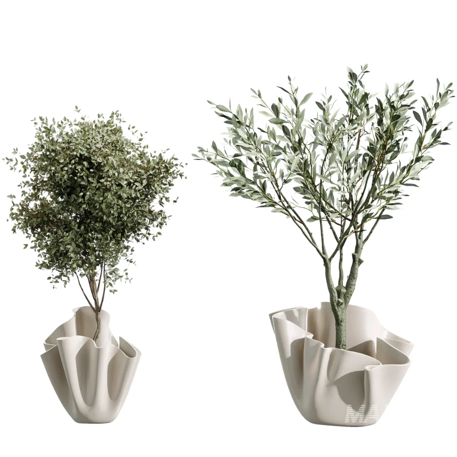 AV Indoor Plants Set 487 Lady Palm and Olive Tree and Snake Sansevieria - Image 7