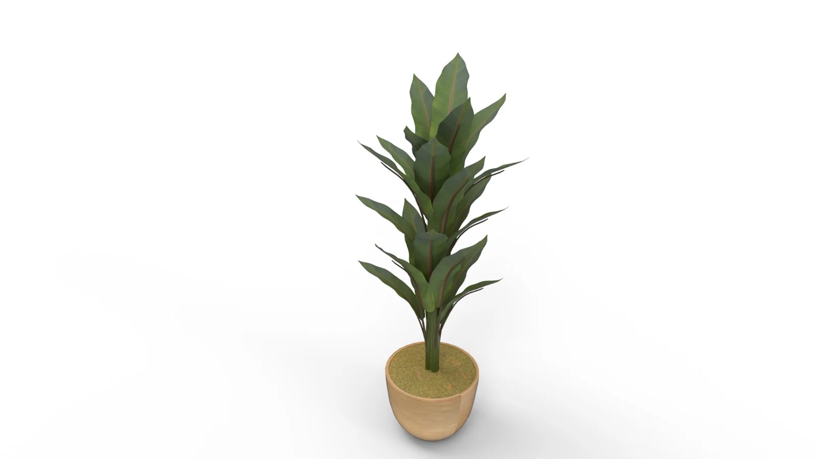 Banana Leaf Tree in Planter - Image 8