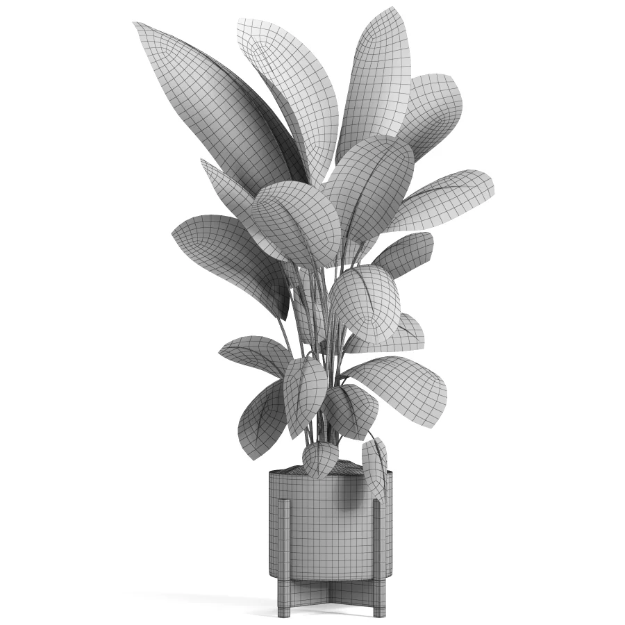 indoor plant 046 - Image 4