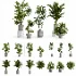 Modern Tropical Indoor Plant Collection | High Poly Decorative Plants - Thumbnail 1