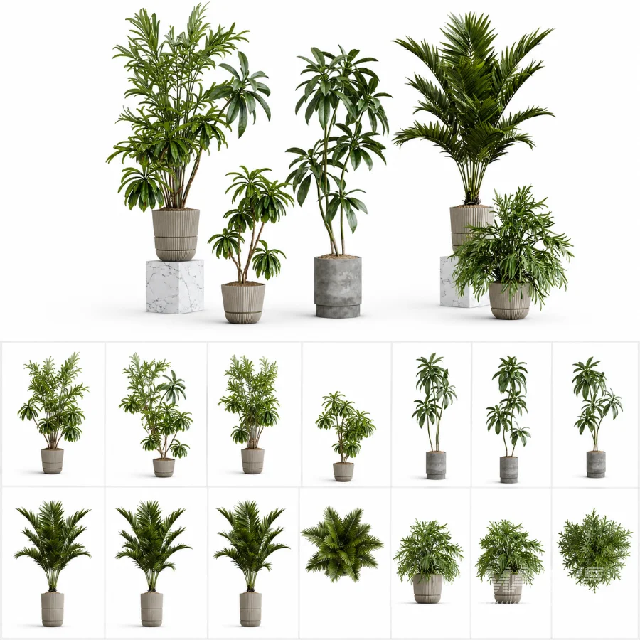Modern Tropical Indoor Plant Collection | High Poly Decorative Plants - Image 1