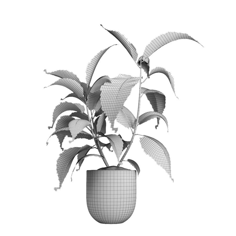 indoor plant 052 - Image 4