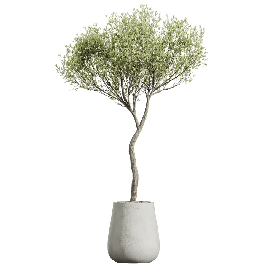 ntal greenery, making it an excellent choice for luxury interiors, hospitality spaces, commercial environments, and architectural landscape scenes. - Image 1