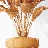 AV Indoor Plants Set 473 Spineless Yucca and Calathea Lutea and Snake Sansevieria and Olive Indoor Tree - Thumbnail 8