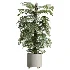 ntal greenery, making it an excellent choice for luxury interiors, hospitality spaces, commercial environments, and architectural landscape scenes. - Thumbnail 2