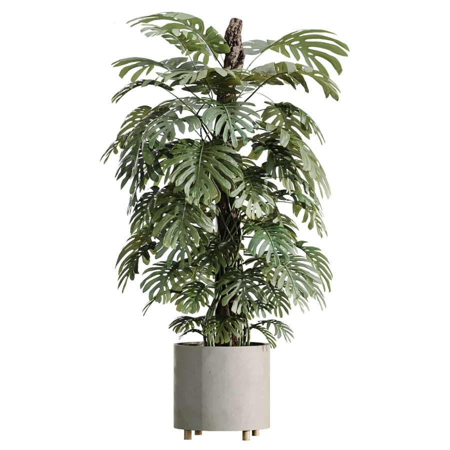 ntal greenery, making it an excellent choice for luxury interiors, hospitality spaces, commercial environments, and architectural landscape scenes. - Image 2
