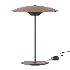 Ginger Table Lamp - Thumbnail 1