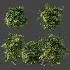 AV Plant Rhapis Excelsa Palm Bush 01 - Thumbnail 7