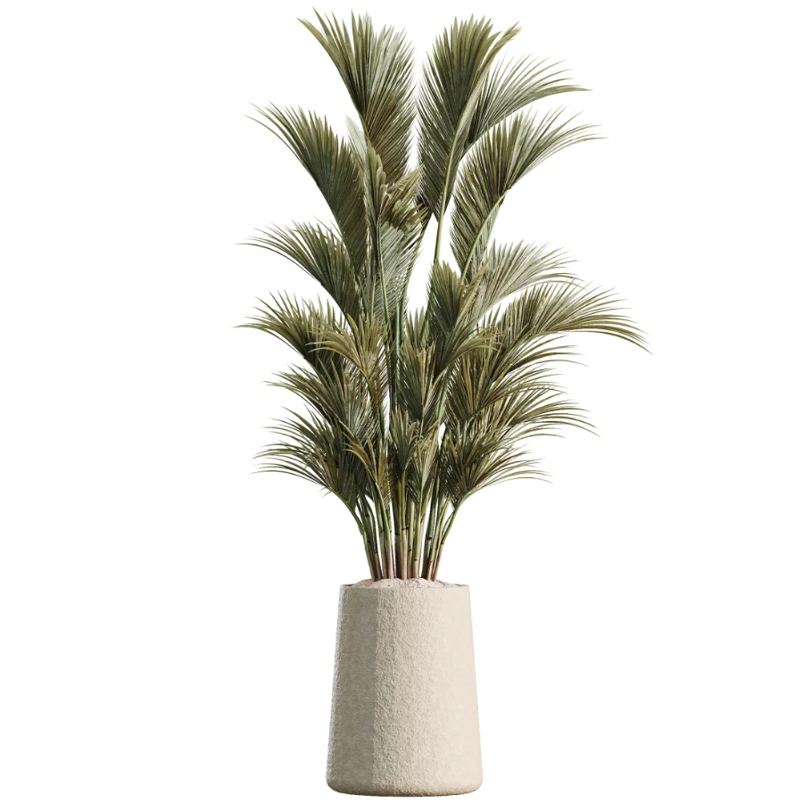 AV Indoor Plants Set 480 Olive Palm ParadiseBird Yucca - Image 2
