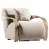 Sonesta Lounge Chair - Thumbnail 2
