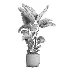 indoor plant 056 - Thumbnail 5
