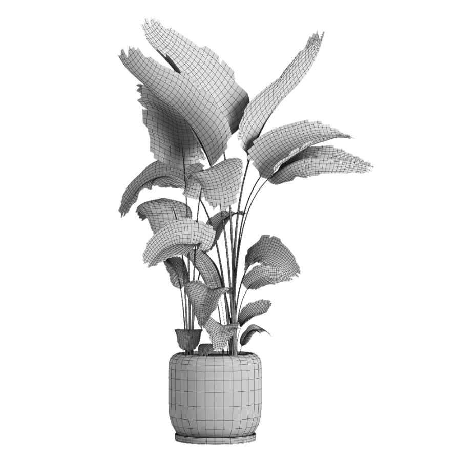 indoor plant 056 - Image 5