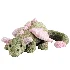 Plush Toys Set 27-Plush Dragon - Thumbnail 7