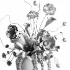 Terracotta Botanical Arrangement 59 - Thumbnail 6