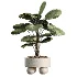 AV Indoor Plants Set 490 Yucca Olive Artificial Rhapis Orange Palm - Thumbnail 4
