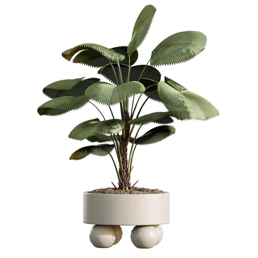 AV Indoor Plants Set 490 Yucca Olive Artificial Rhapis Orange Palm - Image 4