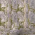 Rock Rough Moss - Thumbnail 2