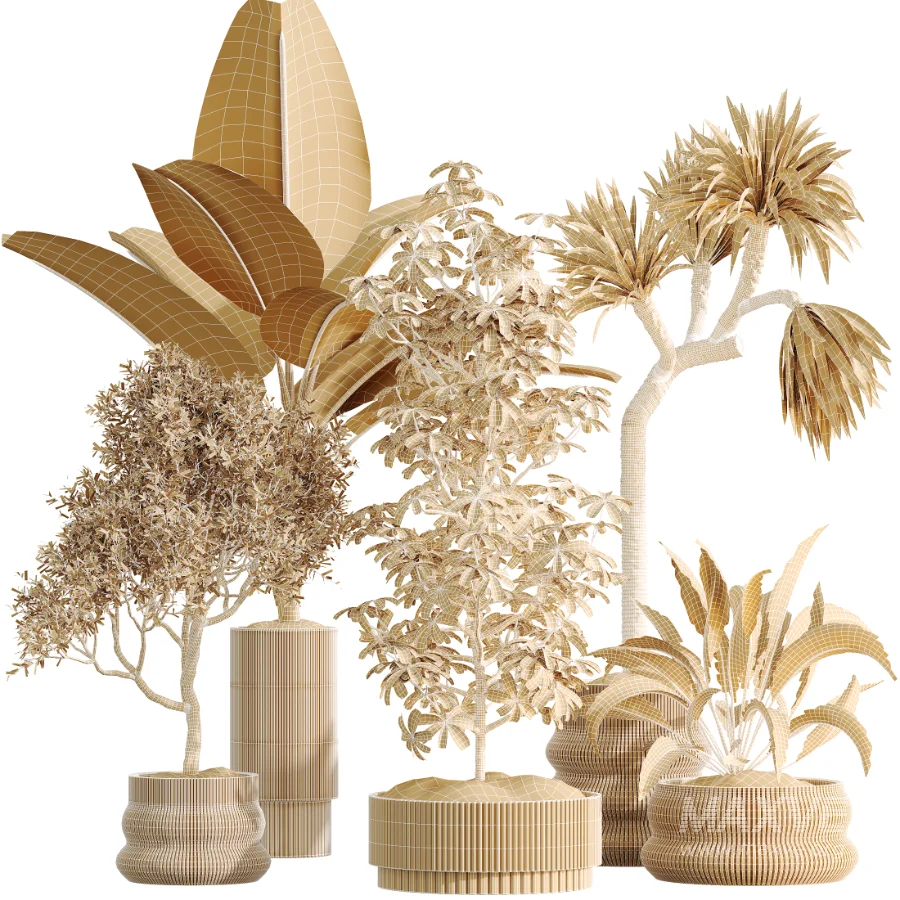 ntal plant species to create a balanced composition suitable for modern interiors, outdoor environments, and high-end architectural scenes. - Image 8