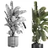 indoor plant 059 - Thumbnail 5