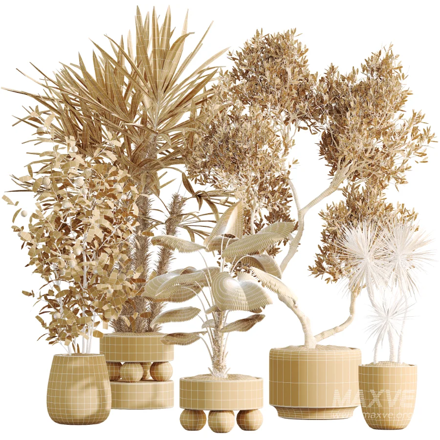 AV Indoor Plants Set 490 Yucca Olive Artificial Rhapis Orange Palm - Image 10