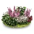 Whispering Garden - Thumbnail 2