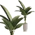 ntal plant species to create a balanced composition suitable for modern interiors, outdoor environments, and high-end architectural scenes. - Thumbnail 3