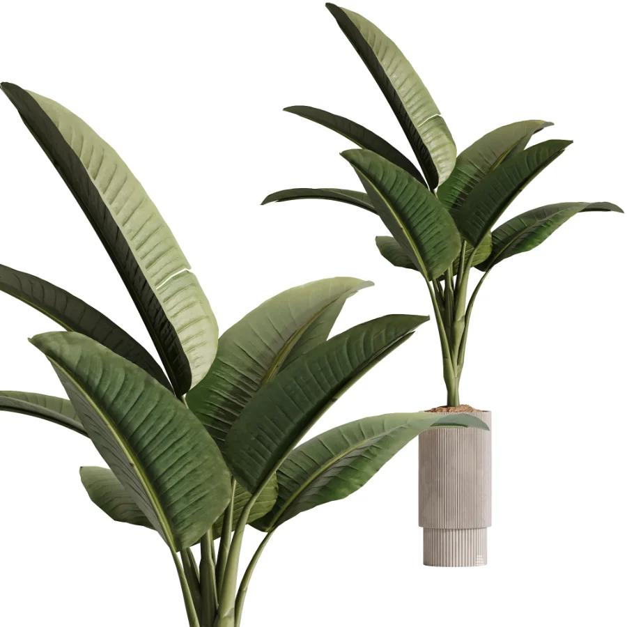 ntal plant species to create a balanced composition suitable for modern interiors, outdoor environments, and high-end architectural scenes. - Image 3