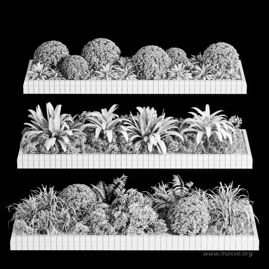 Outdoor Plant 49 - Image 5
