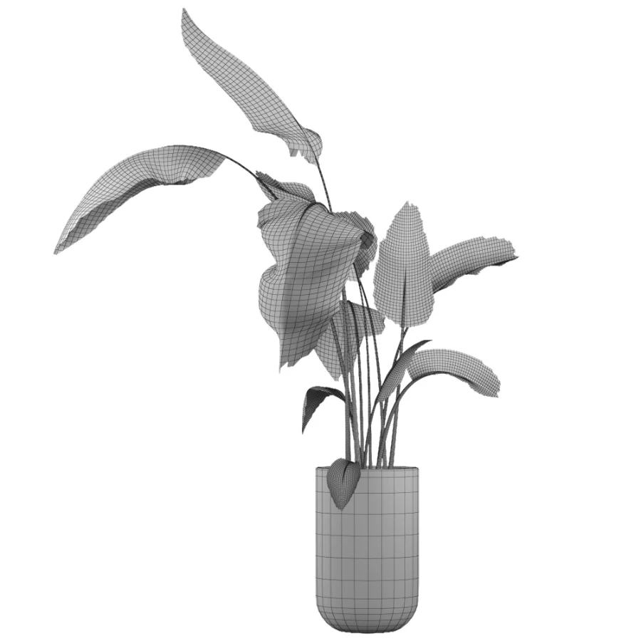 indoor plant 077 - Image 4