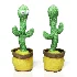 Musical Cactus Toy - Thumbnail 4