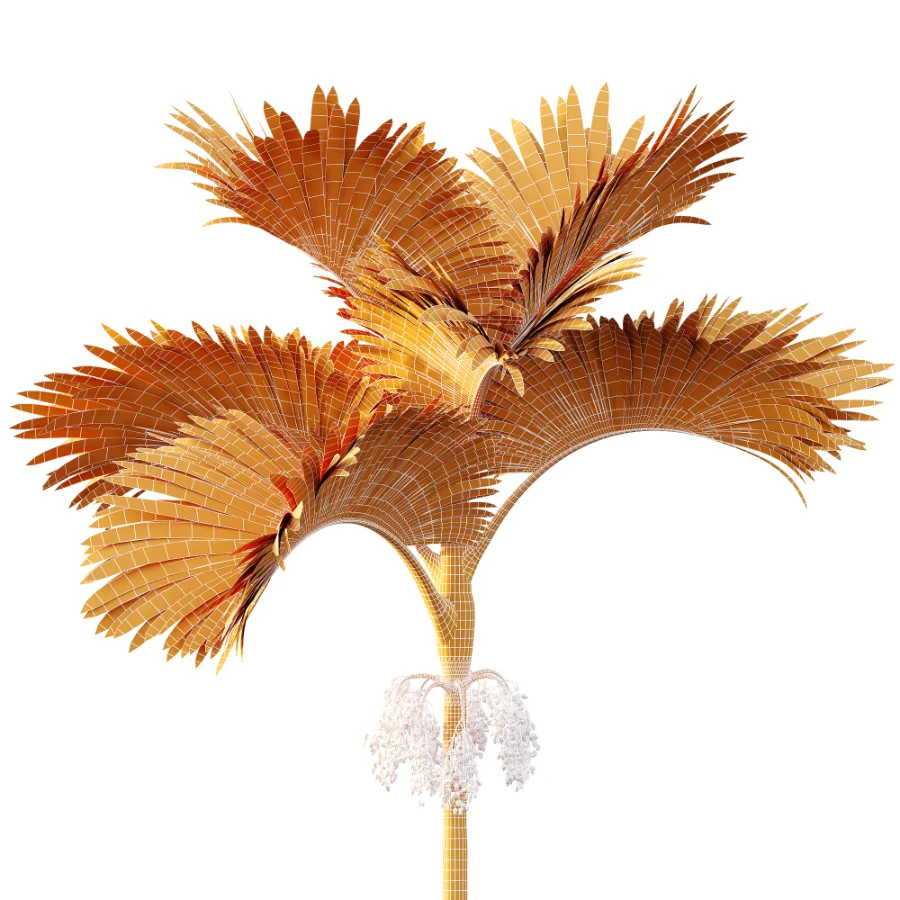 ntal fruits. - Image 10