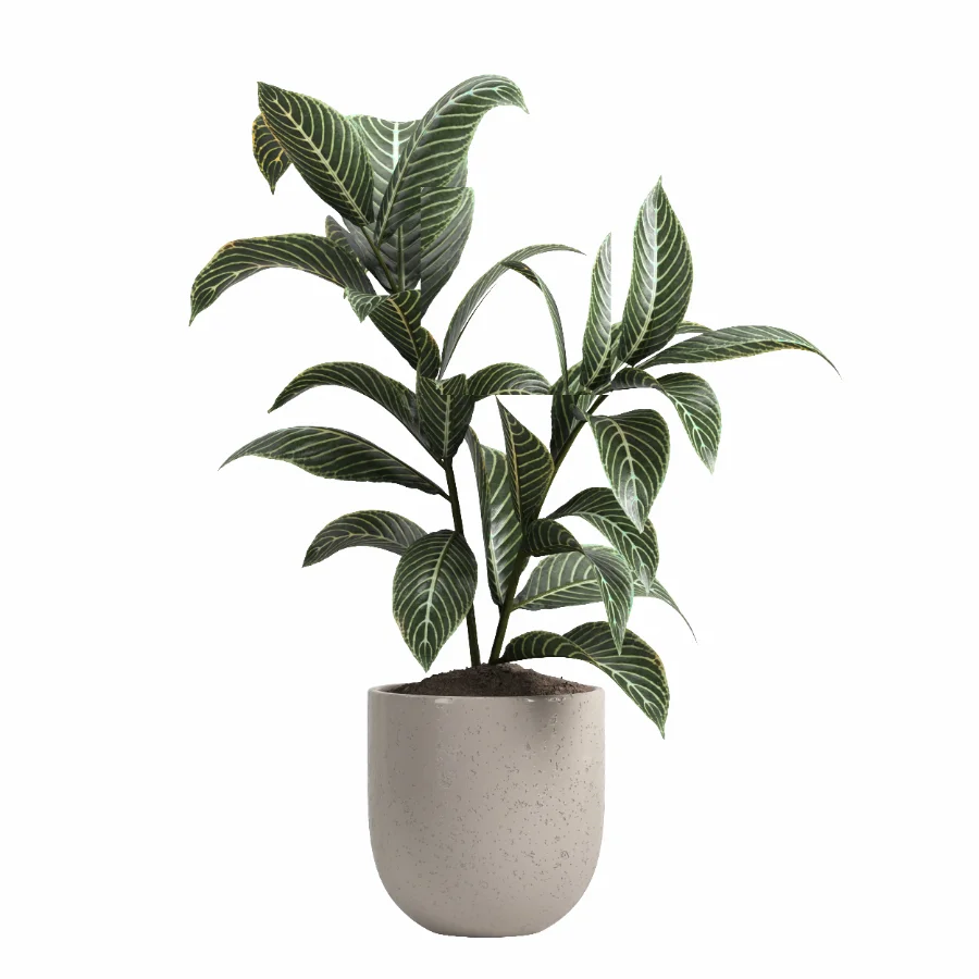indoor plant 047 - Image 5