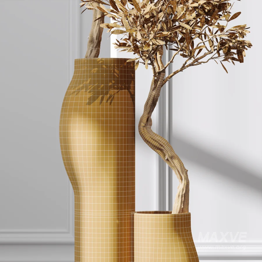 AV Indoor Plants Set 476 Yucca Elephantipes and Olive Tree and Zamioculcas Zamiifolia and Peace Lily - Image 9