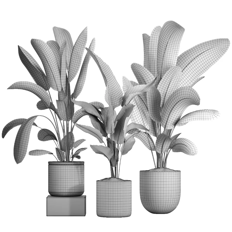 indoor plant 060 - Image 5
