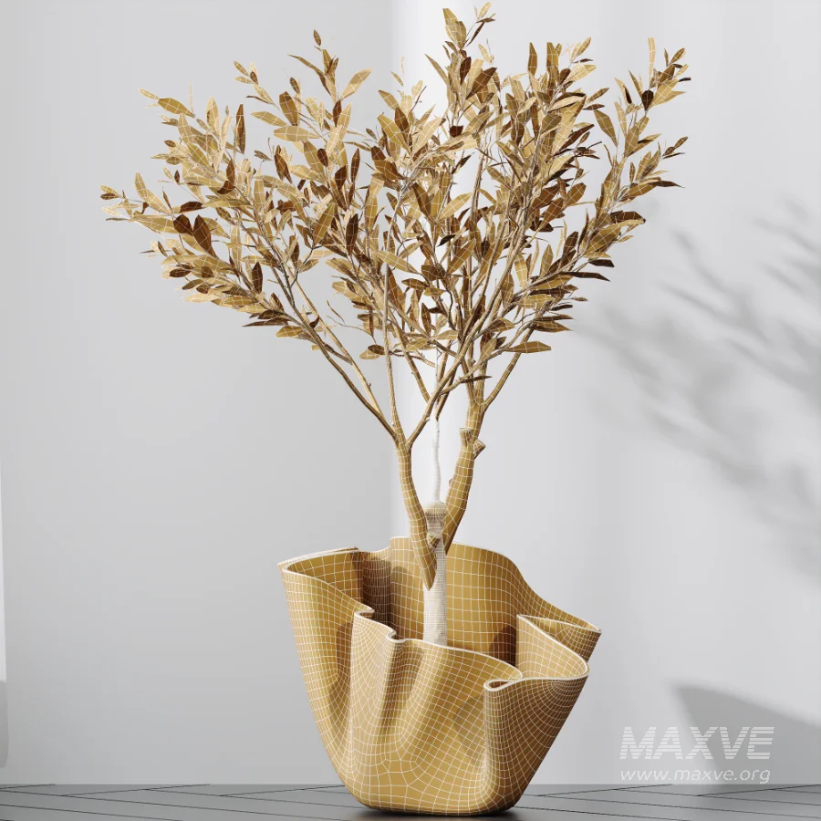 AV Indoor Plants Set 487 Lady Palm and Olive Tree and Snake Sansevieria - Image 9