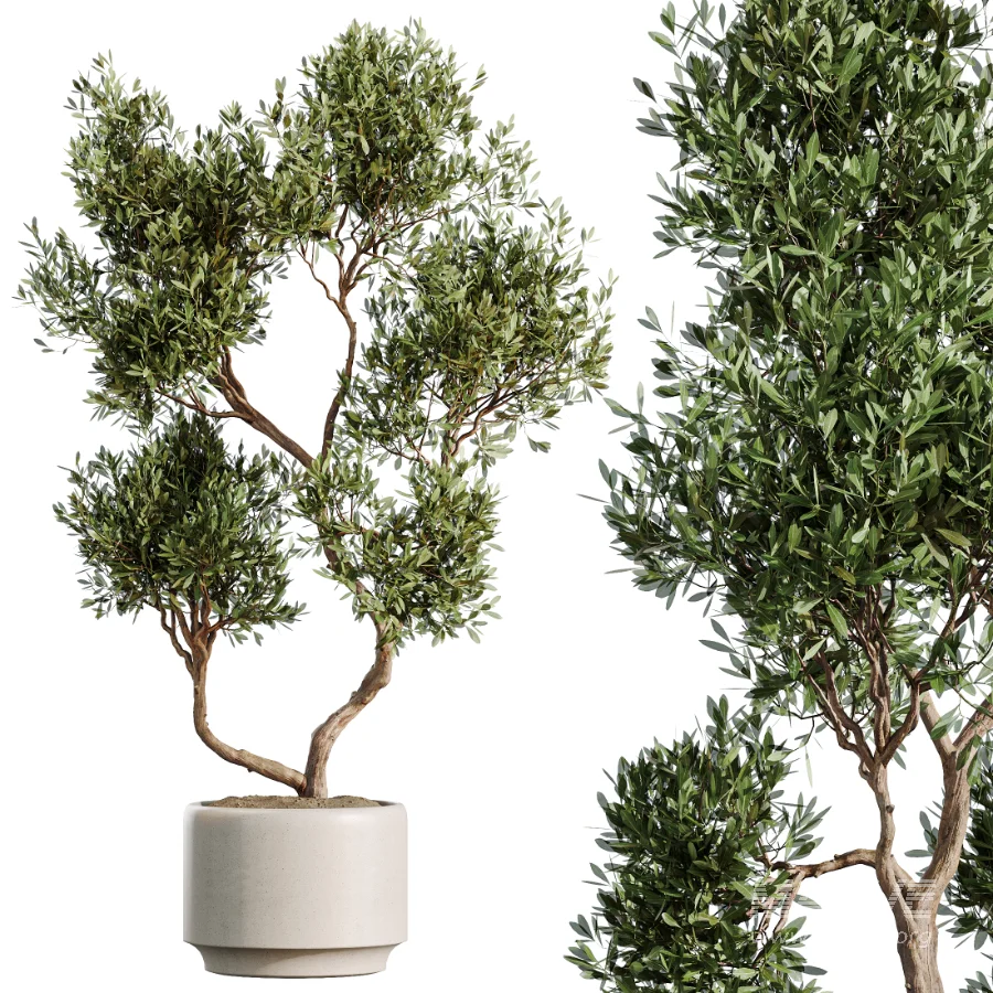 AV Indoor Plants Set 490 Yucca Olive Artificial Rhapis Orange Palm - Image 1