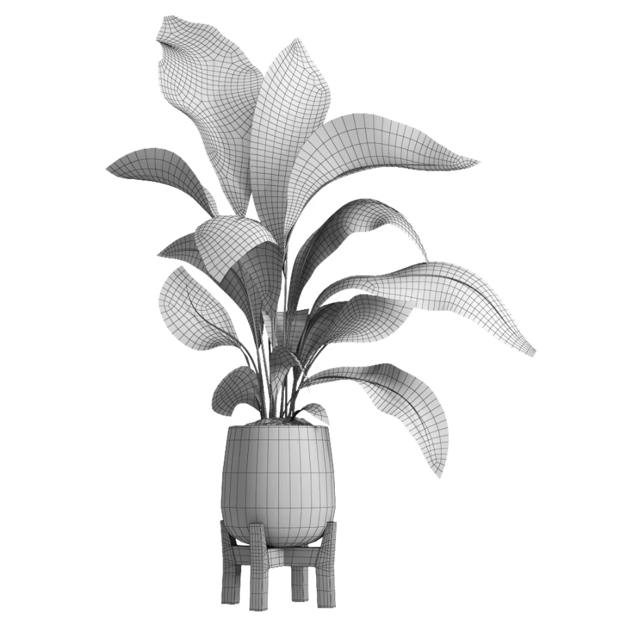 indoor plant 054 - Image 5
