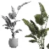 indoor plant 069 - Thumbnail 4