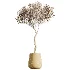 ntal greenery, making it an excellent choice for luxury interiors, hospitality spaces, commercial environments, and architectural landscape scenes. - Thumbnail 6