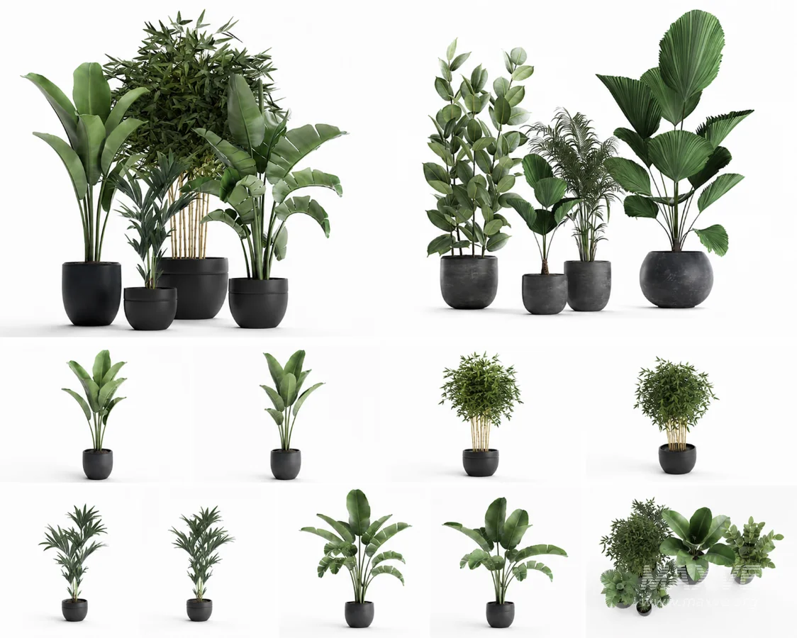ntal plants, decorative plants, modern planter, black planter, flower pot, interior plants, office plants, home decor, lobby plants, hotel plants, realistic plants, 3d plants, archviz - Image 1