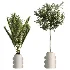 AV Indoor Plants Set 479 Olive Elegant Monstera Ficus Palm - Thumbnail 7
