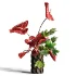 Burgundy Anthurium Arrangement 60 - Thumbnail 2