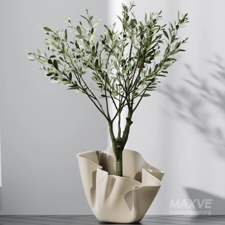 AV Indoor Plants Set 487 Lady Palm and Olive Tree and Snake Sansevieria - Image 6