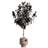 AV Indoor Plants Set 486 Rubber Ficus Elastica Abidjan Melany - Thumbnail 3